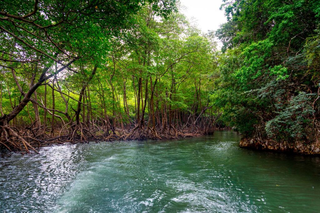 Por que a República Dominicana é o Destino dos Sonhos para Viajantes 3